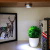 JUEJA LED Night Light Wall Mounted Closet Cabinet Touch Lamp for Wardrobe Step Stairs Aisle Car Kitchen