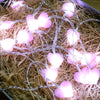 LED Lights Girl Heart 1.5 Meters 10 Lights