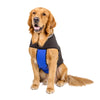 Thermal Insulation Soft Neoprene Dog Jacket
