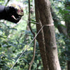 Emergency Survival Gear Steel Wire Saw Camping Hiking Climbing  Tool