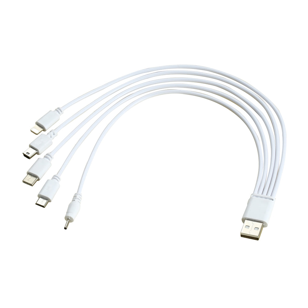 5 in 1 USB Charging Cable for Micro / 8 pin + Type-C + Mini + DC 2.0mm Port