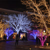 10m/72pcs 220V LED Light Strap Lamp Waterproof For Christmas Tree  Decoration