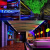 Jiawen 5m 5050 RGBW LED Light Strip + Remote Controller + 12V 2A Power Supply RGB + White Indoor for Decoration