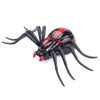 Remote Control Plastic Infrared Spider