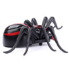 Remote Control Plastic Infrared Spider