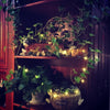 AY - hq216 10M 100 LED String Lights for Christmas Tree Decor