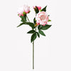 3 Heads European Style Peony Home Decoration Artificial Flower 50CM
