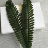 10 Branch Simulation Fern-Leaf Plant Wall Decorate Artificial Flower