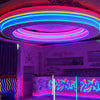 YWXLight 5M LED Strip Flexible Neon Lights Waterproof LED Light Lamp AC 220 - 240V