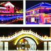 1PCS YWXLight 5M LED Strip Flexible Neon Lights Waterproof LED Light Lamp AC 220 - 240V