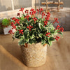 Christmas Red Berries Artificial Flower Home Party Wedding Decorations