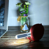 8 LED Mini Portable Lamp DC 5V Camping USB Lighting