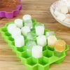 Ice Block Mold with Ice Cover