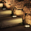 8-LED Solar Power Buried Light for Garden