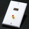 TL - 036 118 mm RCA HDMI Audio Video Wall Face Panel with Rectangle Shape