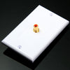 TL - 035 118 mm Single Port RCA  Audio Video Wall Face Panel