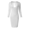Sexy Plunging Neck Solid Color Long Sleeve Women's Dress