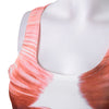 Street Style Scoop Collar Sleeveless Muscle Print Women's Tank Top
