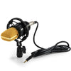 LEIHAO BM - 700 Condenser Studio Sound Recording Microphone