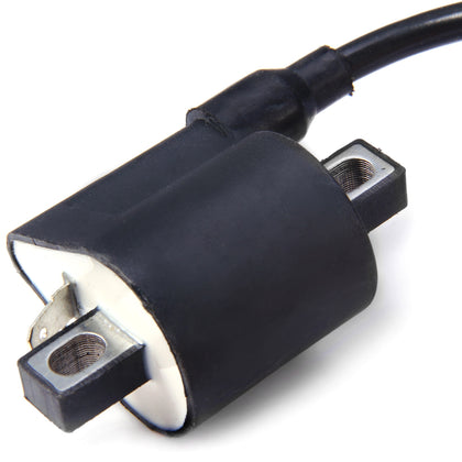 Ignition Coil with 50cc 110cc ATV Quad Dirt Bike