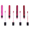 5 Colors Beauty Makeup Waterproof Long Lasting Liquid Lipstick for Professional or Home Use