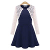 Fresh Style Round Collar Long Sleeve Lace Spliced Color Block A-Line Women's Dress