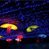 5M 50 LEDs Battery LED String Light for Home Decoration / Wedding / Holiday / Party Decoration - EU Plug