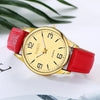 GAIETY G135 Ladies Fashion Leather Watch