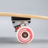 Canadian Maple Complete Skateboard Cruiser 26 Inch