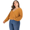 Women's V Neck Solid Colored Plus Size Back Hollow Short Sweater