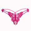 Lace Embroidered Thong for Sexy Panties