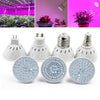 OMTO LED Plant Growth Bulb 110V For Succulent Green Leaf Potted Plant