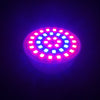 BRELONG E27 E14 GU10 MR16 36LED 2835 Plant Cup Light AC 220-240V 1pc