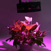 96W ( True 48W ) COB Full Spectrum LED Indoor Plant Grow Light