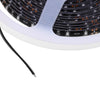 5M DC 12V SMD 3528 Waterproof Flexible LED Strip Light