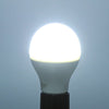 Rayyou E27 5W 450LM AC 220V 5730 LED Light Globe Shaped Bulb