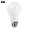 Rayyou E27 5W 450LM AC 220V 5730 LED Light Globe Shaped Bulb