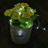 DC 6V 10M 100 LEDs Waterproof String Light