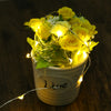 DC 6V 10M 100 LEDs Waterproof String Light
