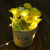 DC 6V 10M 100 LEDs Waterproof String Light