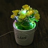 DC 6V 10M 100 LEDs Waterproof String Light