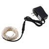 DC 6V 10M 100 LEDs Waterproof String Light