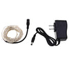 DC 6V 10M 100 LEDs Waterproof String Light