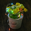 DC 6V 10M 100 LEDs Waterproof String Light
