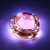 DC 6V 10M 100 LEDs Copper String Light Waterproof LED Lamp