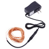 DC 6V 10M 100 LEDs Copper String Light Waterproof LED Lamp