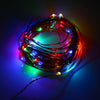 DC 6V 10M 100 LEDs Copper String Light Waterproof LED Lamp