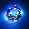DC 6V 10M 100 LEDs Copper String Light Waterproof LED Lamp
