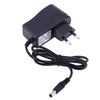 DC 6V 10M 100 LEDs Copper String Light Waterproof LED Lamp