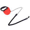 8m Extendable Retractable Pet Training Lead Leash for Medium Large Dog